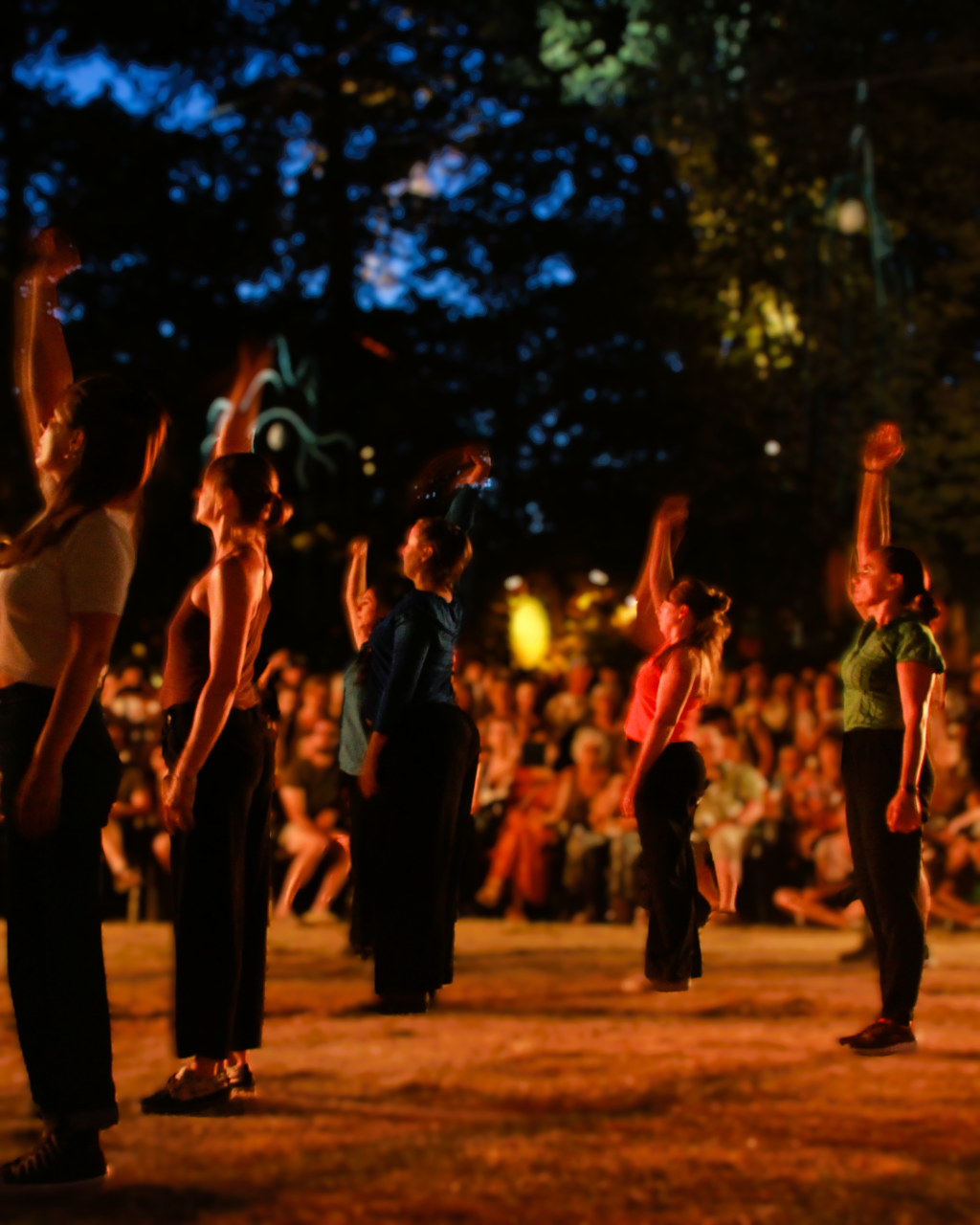 habitants-habitat-inclusif-dieulefit Spectacle dromois participatif et vivant en extérieur comme içi, par la Compagnie A Travers Ciels Dieulefit