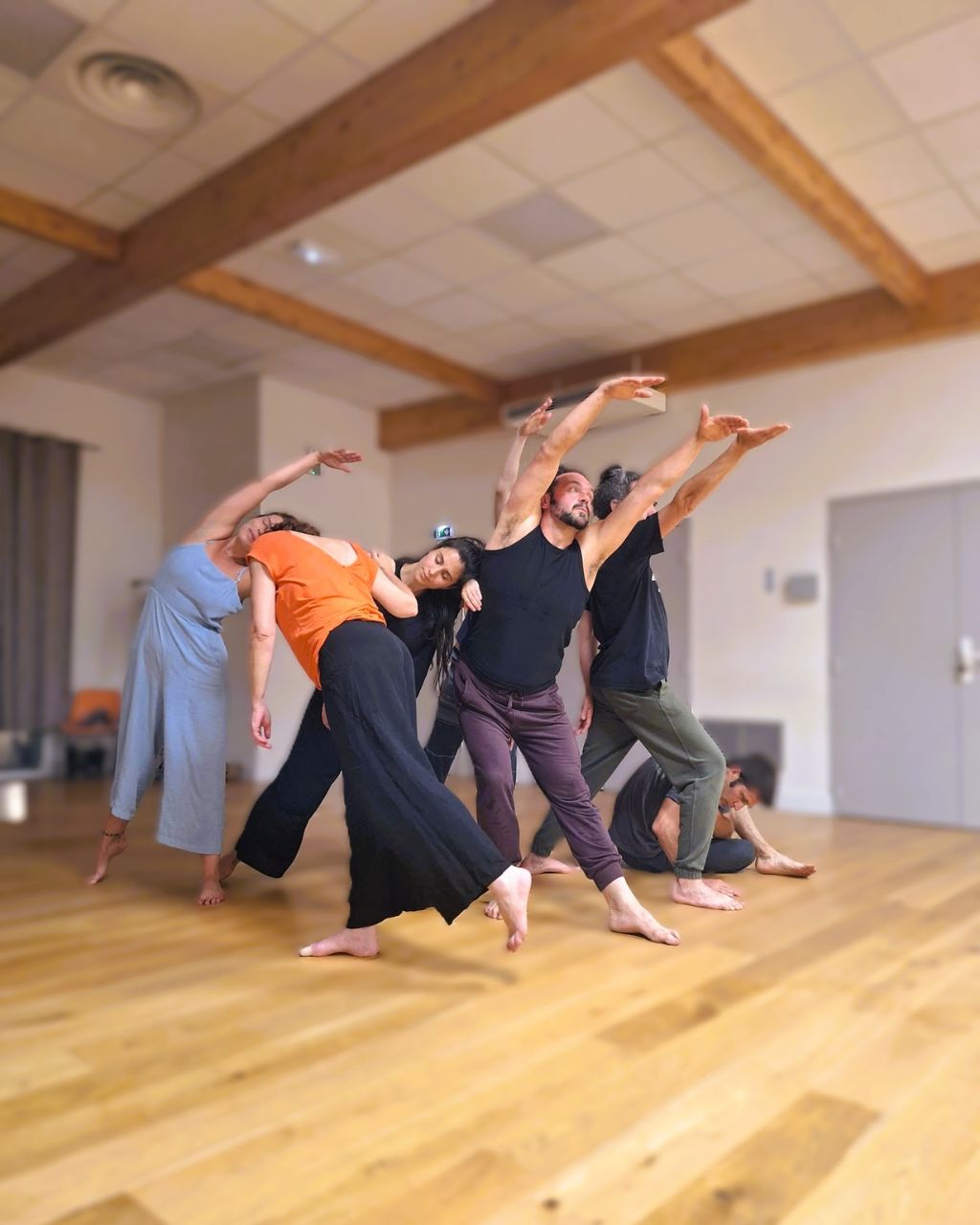 Compagnie A travers Ciels Spectacle dromois participatif et vivant en extérieur comme içi, par la Compagnie A Travers Ciels Dieulefit